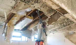 Best Post-Construction Mold Inspection in Brooklawn, NJ